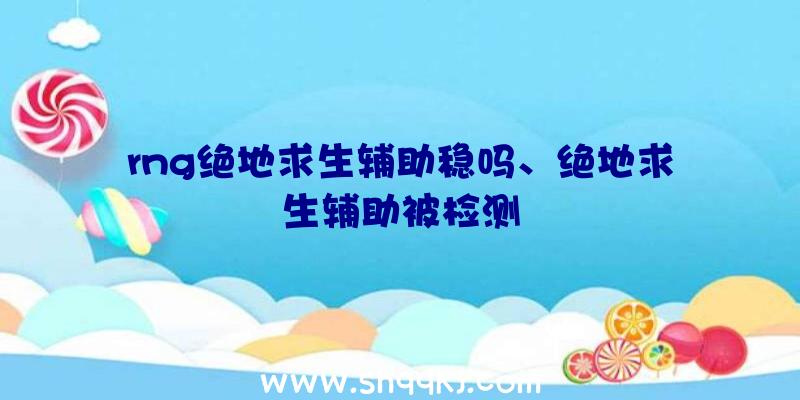 rng绝地求生辅助稳吗、绝地求生辅助被检测