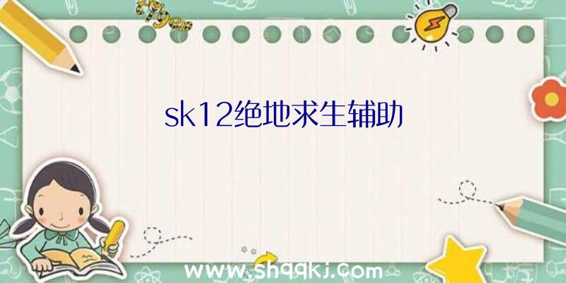 sk12绝地求生辅助