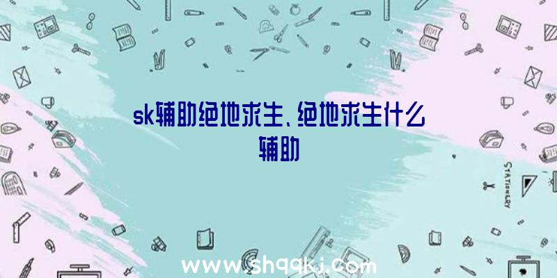 sk辅助绝地求生、绝地求生什么辅助