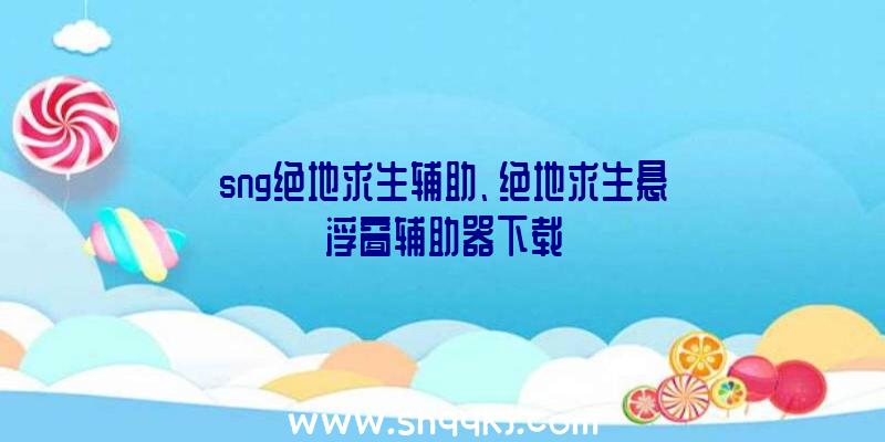 sng绝地求生辅助、绝地求生悬浮窗辅助器下载