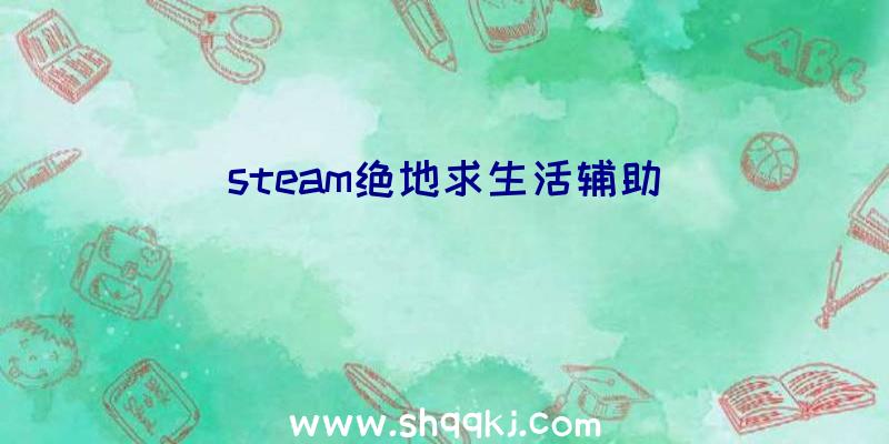 steam绝地求生活辅助