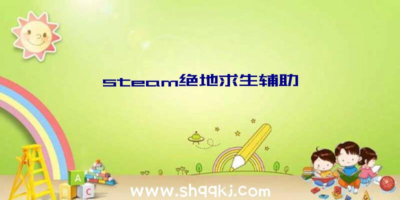 steam绝地求生辅助