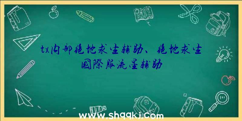 tx内部绝地求生辅助、绝地求生国际服流星辅助