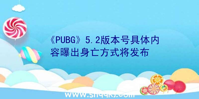 《PUBG》5.2版本号具体内容曝出身亡方式将发布