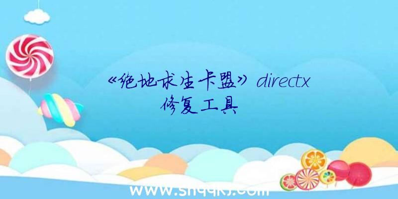 《绝地求生卡盟》directx修复工具