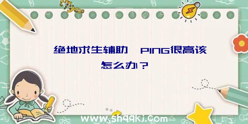 《绝地求生辅助》PING很高该怎么办？