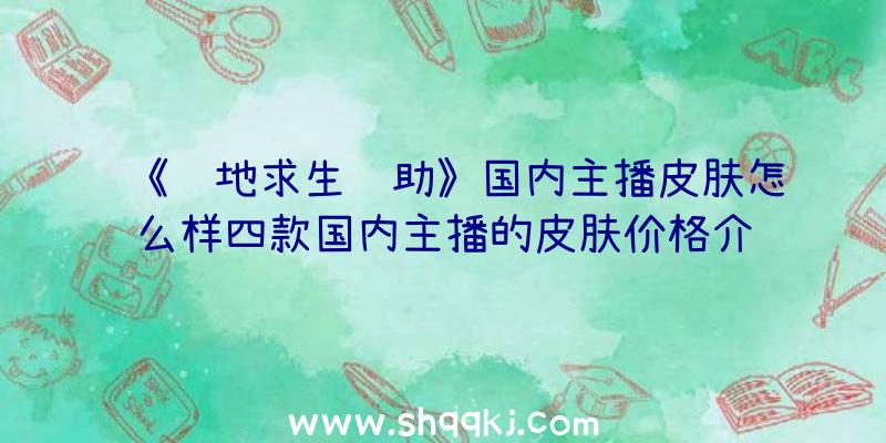 《绝地求生辅助》国内主播皮肤怎么样四款国内主播的皮肤价格介绍