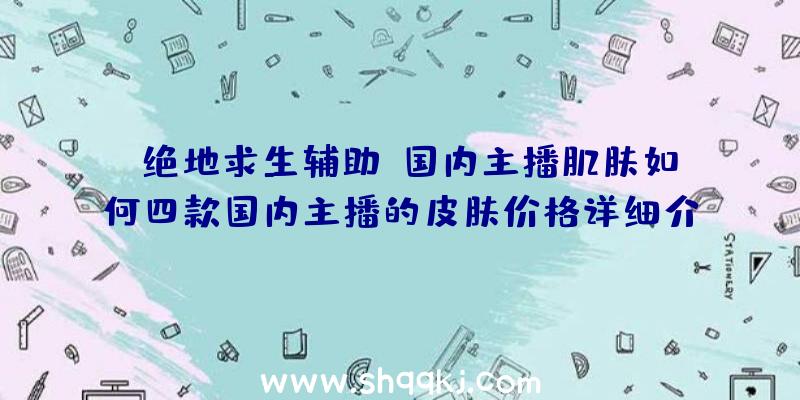 《绝地求生辅助》国内主播肌肤如何四款国内主播的皮肤价格详细介绍