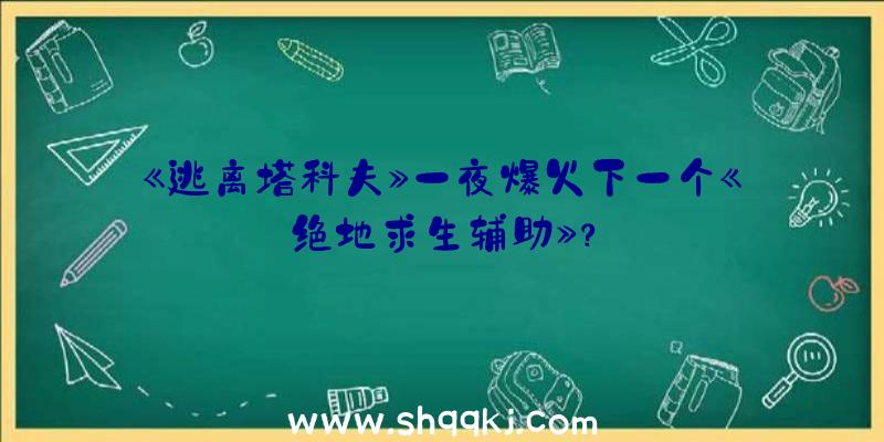 《逃离塔科夫》一夜爆火下一个《绝地求生辅助》？