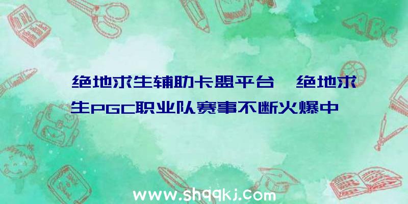 「绝地求生辅助卡盟平台」绝地求生PGC职业队赛事不断火爆中