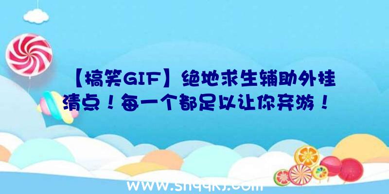 【搞笑GIF】绝地求生辅助外挂清点！每一个都足以让你弃游！