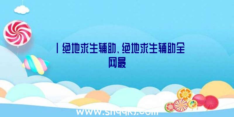 丨绝地求生辅助、绝地求生辅助全网最