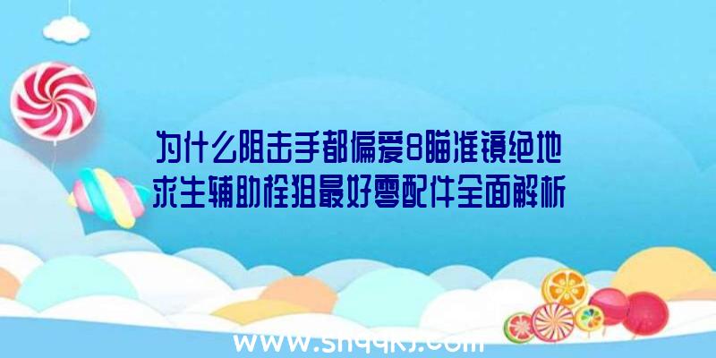 为什么阻击手都偏爱8瞄准镜绝地求生辅助栓狙最好零配件全面解析