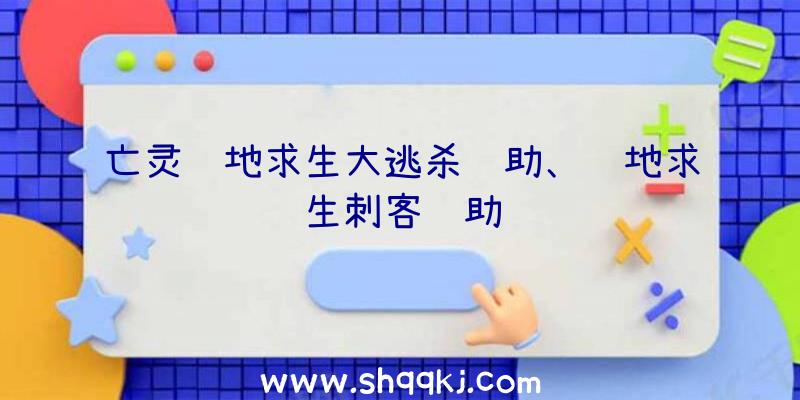 亡灵绝地求生大逃杀辅助、绝地求生刺客辅助