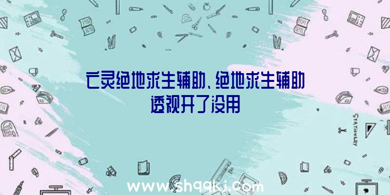 亡灵绝地求生辅助、绝地求生辅助透视开了没用