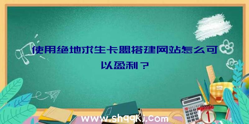 使用绝地求生卡盟搭建网站怎么可以盈利？