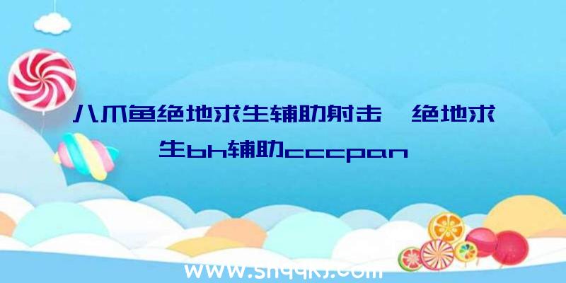 八爪鱼绝地求生辅助射击、绝地求生bh辅助cccpan