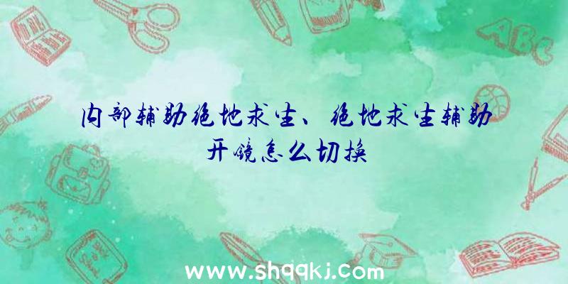 内部辅助绝地求生、绝地求生辅助开镜怎么切换