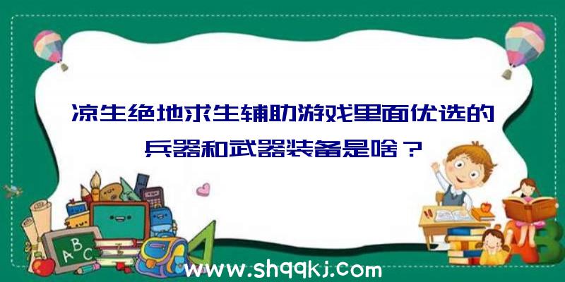 凉生绝地求生辅助游戏里面优选的兵器和武器装备是啥？