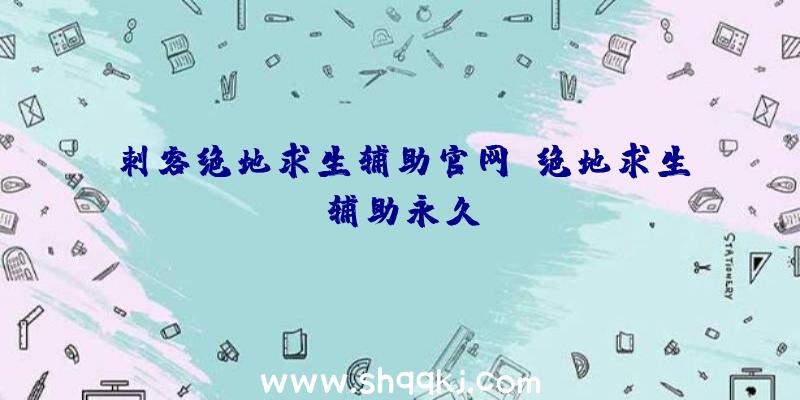 刺客绝地求生辅助官网、绝地求生辅助永久