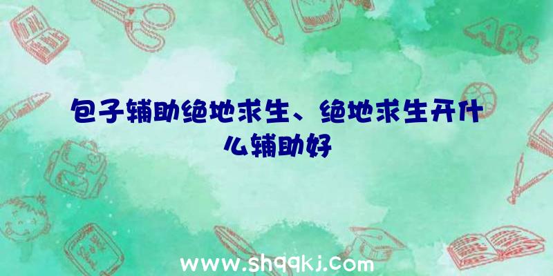 包子辅助绝地求生、绝地求生开什么辅助好