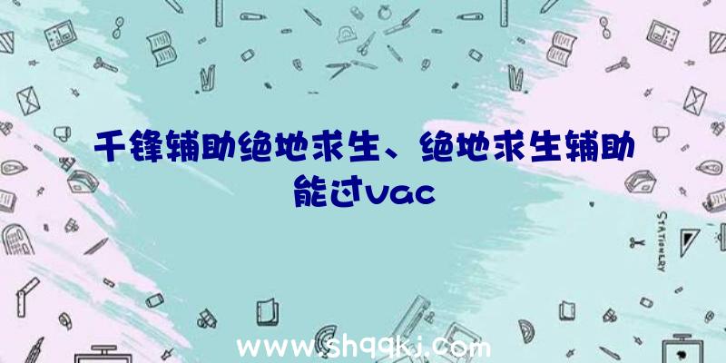 千锋辅助绝地求生、绝地求生辅助能过vac