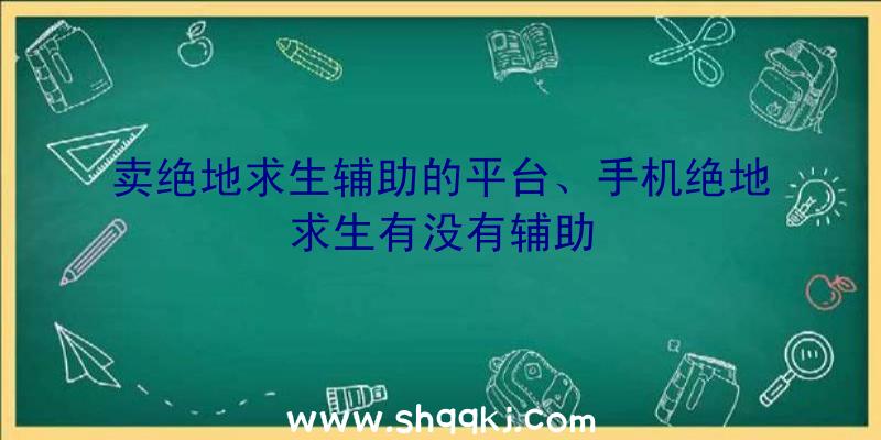 卖绝地求生辅助的平台、手机绝地求生有没有辅助