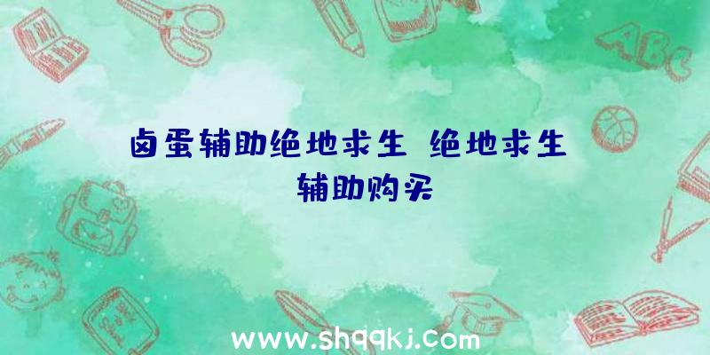 卤蛋辅助绝地求生、绝地求生xbs辅助购买