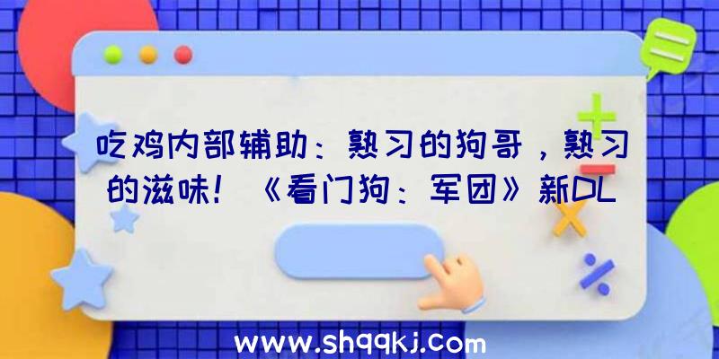 吃鸡内部辅助：熟习的狗哥，熟习的滋味！《看门狗：军团》新DLC幕后花絮