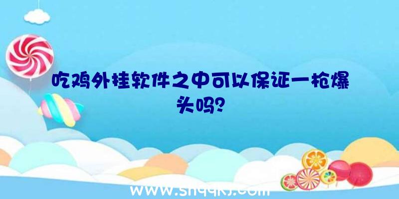 吃鸡外挂软件之中可以保证一枪爆头吗？