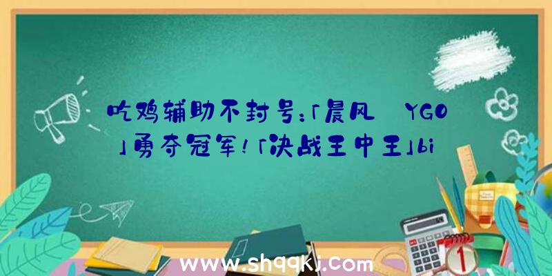 吃鸡辅助不封号