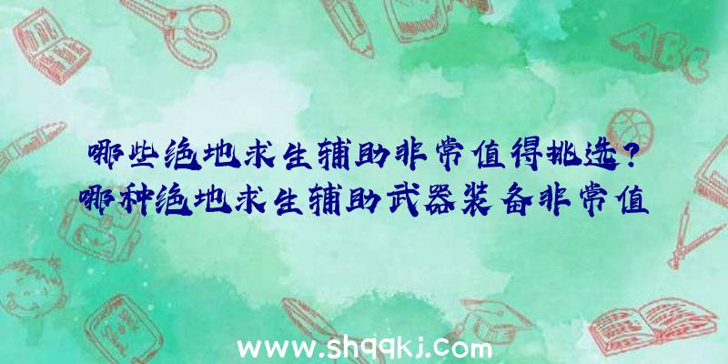 哪些绝地求生辅助非常值得挑选？哪种绝地求生辅助武器装备非常值得强烈推荐