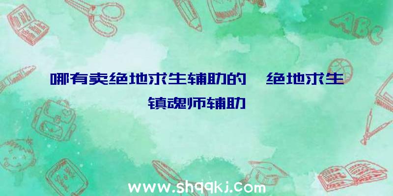 哪有卖绝地求生辅助的、绝地求生镇魂师辅助