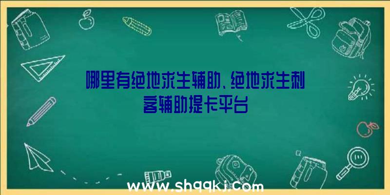 哪里有绝地求生辅助、绝地求生刺客辅助提卡平台