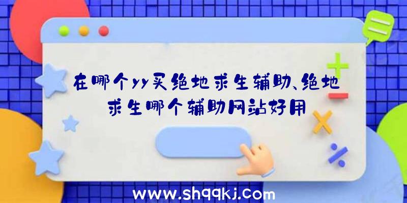 在哪个yy买绝地求生辅助、绝地求生哪个辅助网站好用