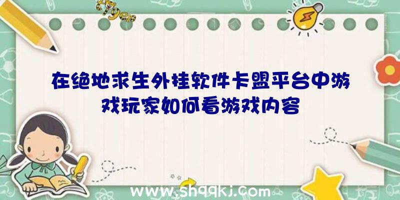 在绝地求生外挂软件卡盟平台中游戏玩家如何看游戏内容