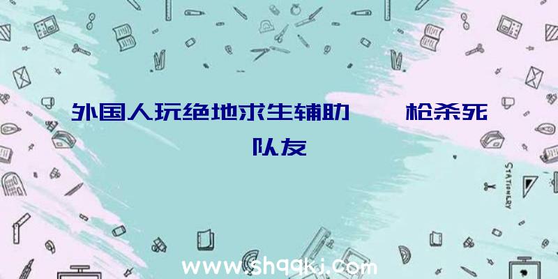 外国人玩绝地求生辅助,一枪杀死队友