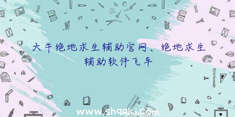 大牛绝地求生辅助官网、绝地求生辅助软件飞车