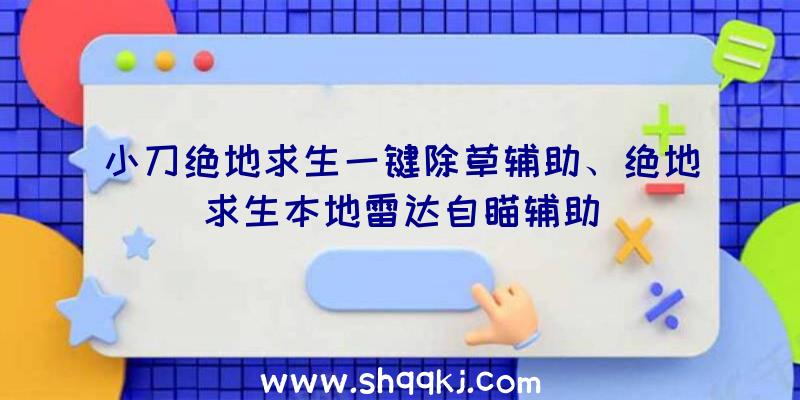 小刀绝地求生一键除草辅助、绝地求生本地雷达自瞄辅助