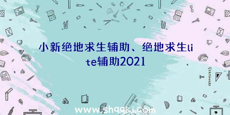 小新绝地求生辅助、绝地求生lite辅助2021