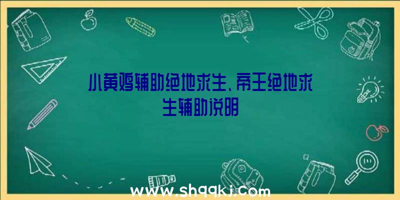 小黄鸡辅助绝地求生、帝王绝地求生辅助说明