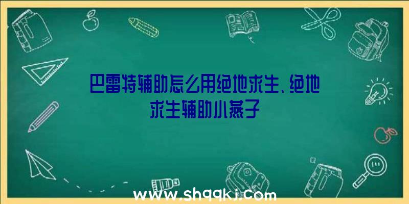 巴雷特辅助怎么用绝地求生、绝地求生辅助小燕子