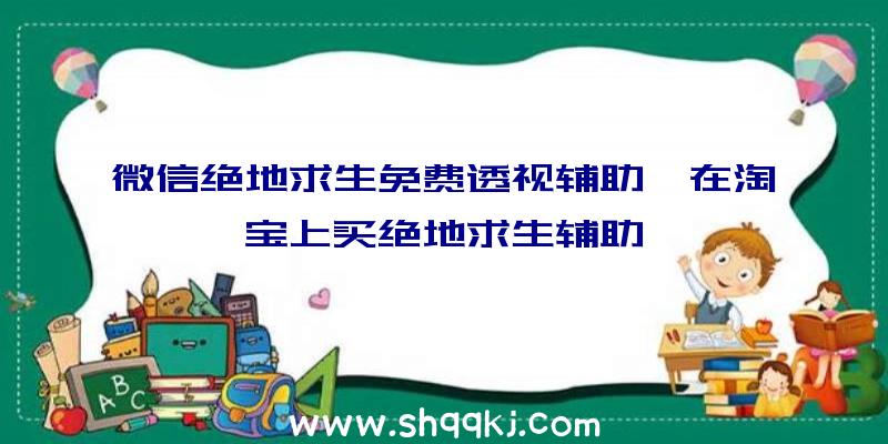 微信绝地求生免费透视辅助、在淘宝上买绝地求生辅助