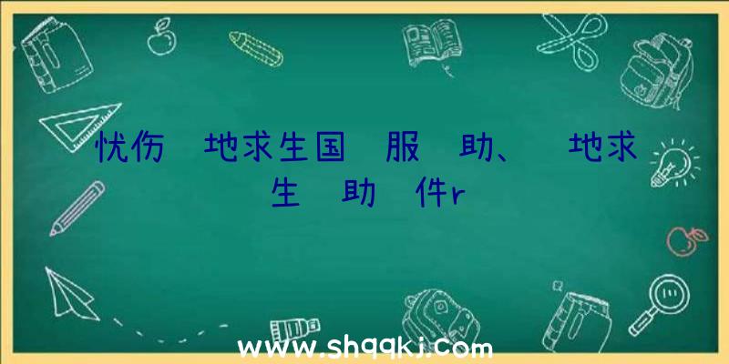 忧伤绝地求生国际服辅助、绝地求生辅助软件r