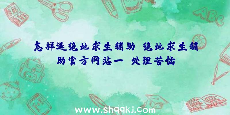 怎样选绝地求生辅助？绝地求生辅助官方网站一键处理苦恼