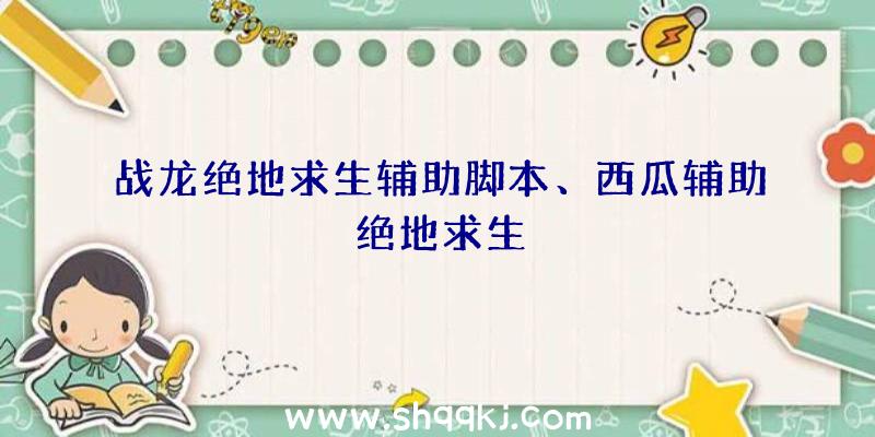 战龙绝地求生辅助脚本、西瓜辅助绝地求生