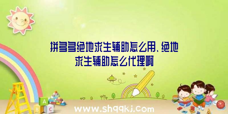 拼多多绝地求生辅助怎么用、绝地求生辅助怎么代理啊