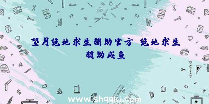 望月绝地求生辅助官方、绝地求生辅助咸鱼