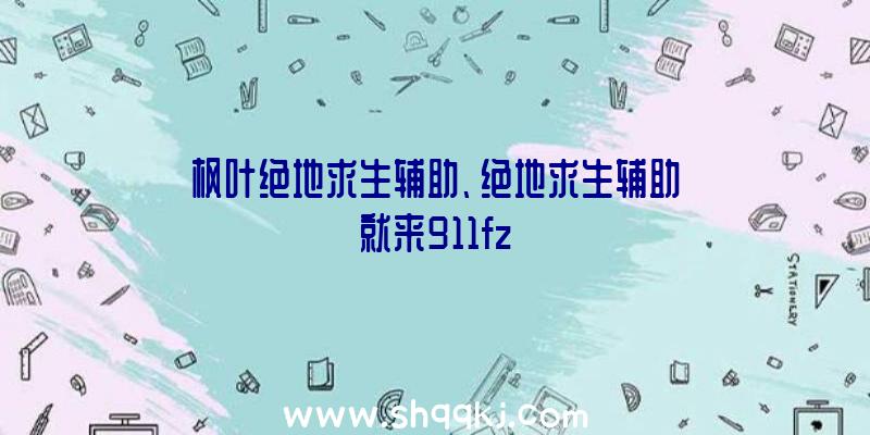 枫叶绝地求生辅助、绝地求生辅助就来911fz