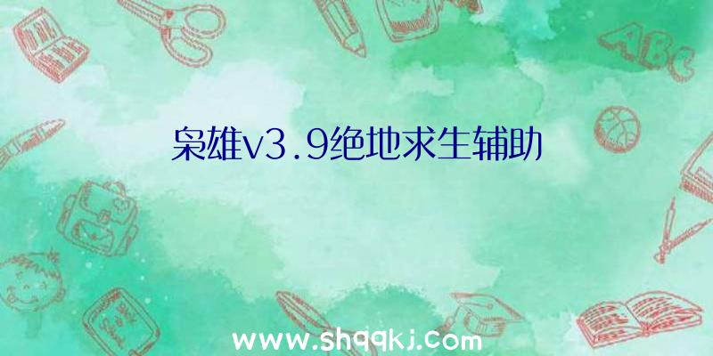 枭雄v3.9绝地求生辅助